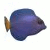 Mais informações sobre o jogo Big Kahuna Reef