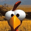 Moorhuhn game