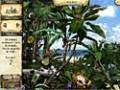 Imagens para download gratuito de As Aventuras de Robinson Crusoé 3