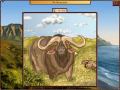 Imagens para download gratuito de World Riddles: Animals 3