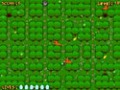 Imagens para download gratuito de Chick Chick Chicky 3