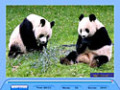 Imagens para download gratuito de Jig Swap Puzzle 1