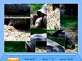 Imagens para download gratuito de Jig Swap Puzzle 2