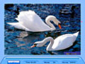 Imagens para download gratuito de Jig Swap Puzzle 3