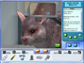 Imagens para download gratuito de Pet Pals: New Leash on Life 1