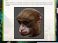 Imagens para download gratuito de Return to Mysterious Island 2: Mina's Fate Strategy Guide 2