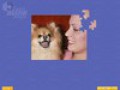 Imagens para download gratuito de Super Jigsaw Puppies 1