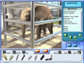 Baixar Jogo Zoo Vet 2: Endangered Animals Grátis