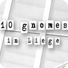 Jogo 10 Gnomes in Liege
