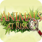Jogo Animals At Risk