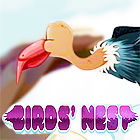 Jogo Birds Nest