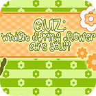 Jogo Flower Quiz