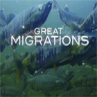 Jogo Great Migrations