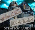 Jogo Hidden in Time: Looking-glass Lane Strategy Guide