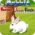 Jogo Rabbit Escape From Eagle