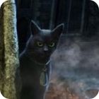 Jogo The Curse of the Werewolves Collector's Edition