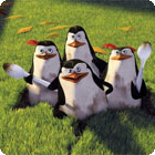 Jogo The Penguins of Madagascar: Pollution Solution