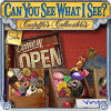 Can You See What I See game