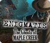 Enigmatis: Os Fantasmas de Maple Creek game