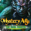 Mystery Age: Os Sacerdotes Sombrios game