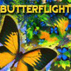 Jogo Butterflight