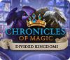 Jogo Chronicles of Magic: The Divided Kingdoms