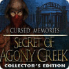 Jogo Cursed Memories: The Secret of Agony Creek Collector's Edition
