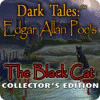 Jogo Dark Tales: Edgar Allan Poe's The Black Cat Collector's Edition
