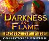 Jogo Darkness and Flame: Born of Fire Collector's Edition