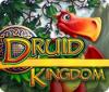 Jogo Druid Kingdom