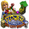 Jogo Flower Shop: Big City Break