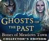 Jogo Ghosts of the Past: Bones of Meadows Town Collector's Edition