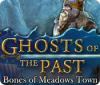 Jogo Ghosts of the Past: Bones of Meadows Town