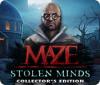 Jogo Maze: Stolen Minds Collector's Edition