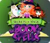 Secrets of Magic: The Book of Spells game