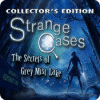 Jogo Strange Cases: The Secrets of Grey Mist Lake Collector's Edition