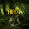 Jogo The Forest