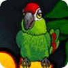 Jogo Thirsty Parrot