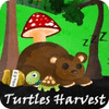 Jogo Turtles Harvest