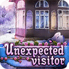 Jogo Unexpected Visitor