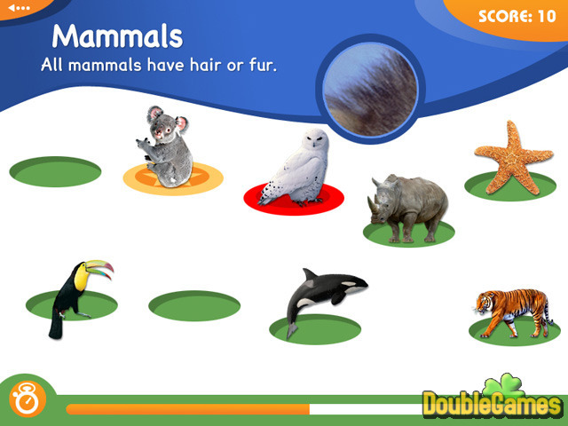Free Download Animal Genius Screenshot 1