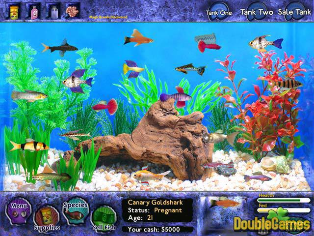 Free Download Fish Tycoon Screenshot 1